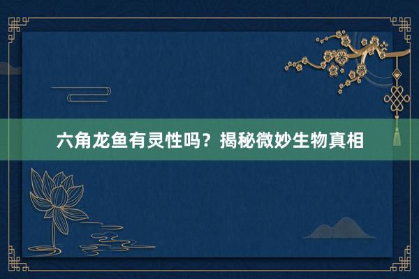 六角龙鱼有灵性吗?揭秘微妙生物真相