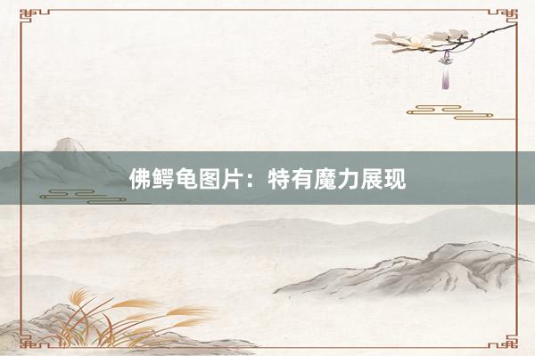 佛鳄龟图片:特有魔力展现